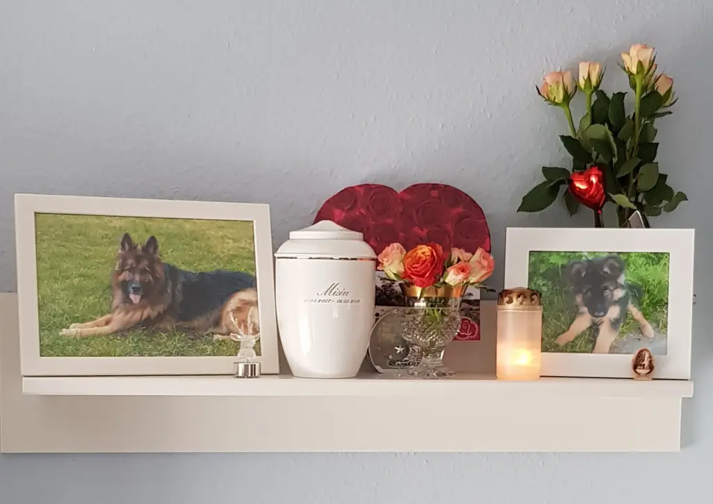 Condolence image of Klaudia mit Misiu❤❤❤