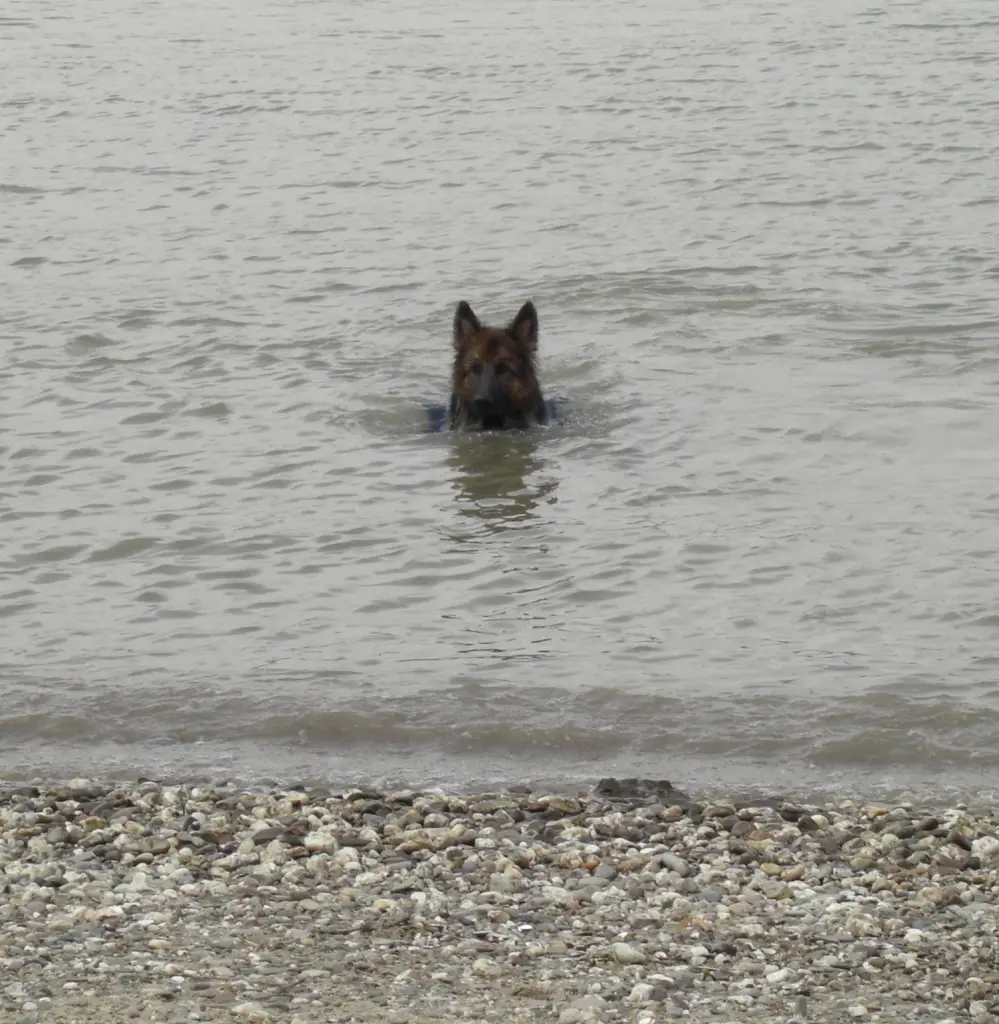 Condolence image of Klaudia mit Misiu❤❤❤