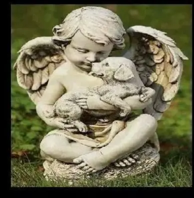 Condolence image of Klaudia mit Misiu❤❤❤