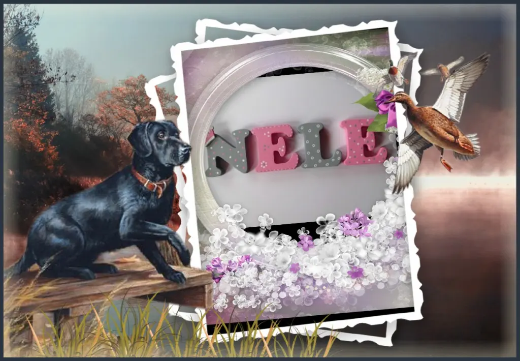 Condolence image of ❤Fur Liebe Nele❤