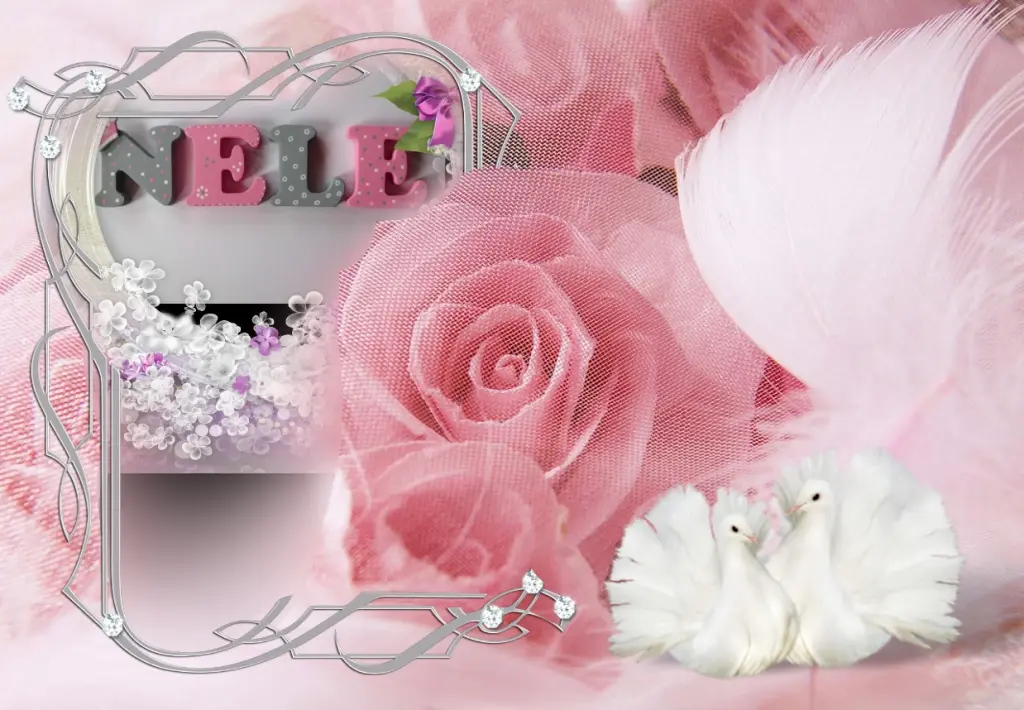 Condolence image of ❤Liebe Nele❤