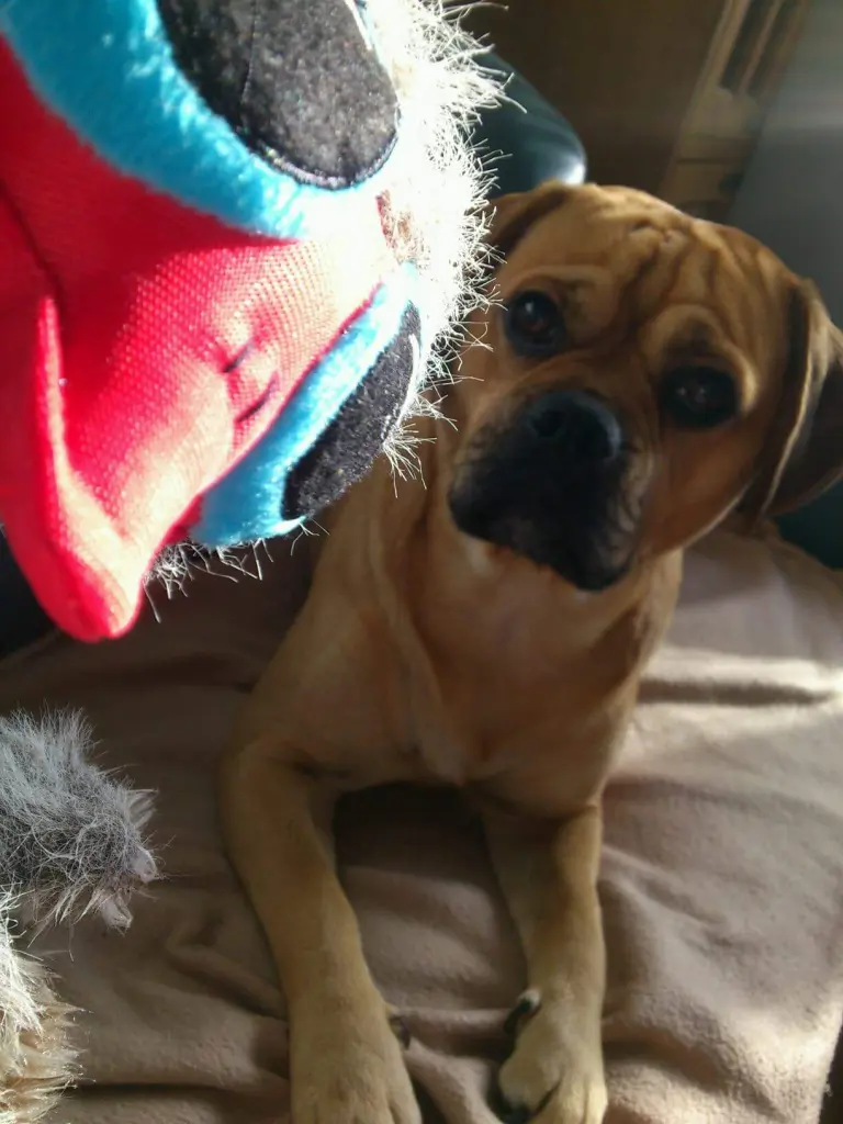 Condolence image of Laura mit Dag  im Herzen