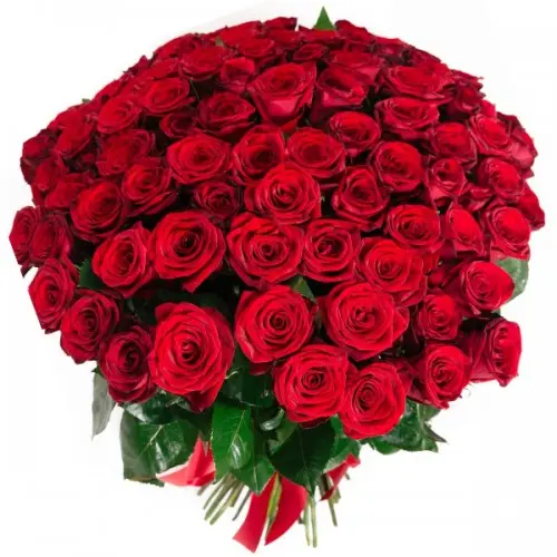 Condolence image of Fur Liebe Nele❤Fur Liebe Lara❤