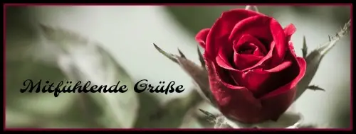 Condolence image of Gaby 