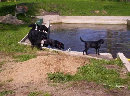 Condolence image of Jana und Horst