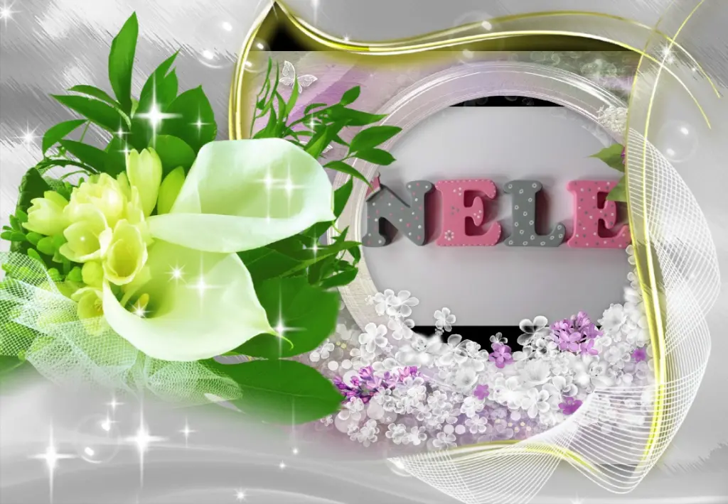 Condolence image of Fur Liebe Nele❤