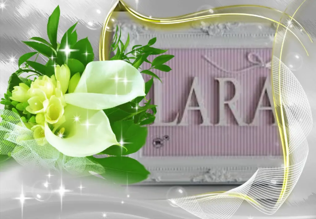 Condolence image of Fur Liebe Lara❤