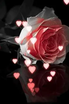 Condolence image of Gaby 