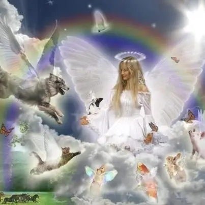 Condolence image of Fur Liebe Nele❤und Ihre Liebe Kinder❤