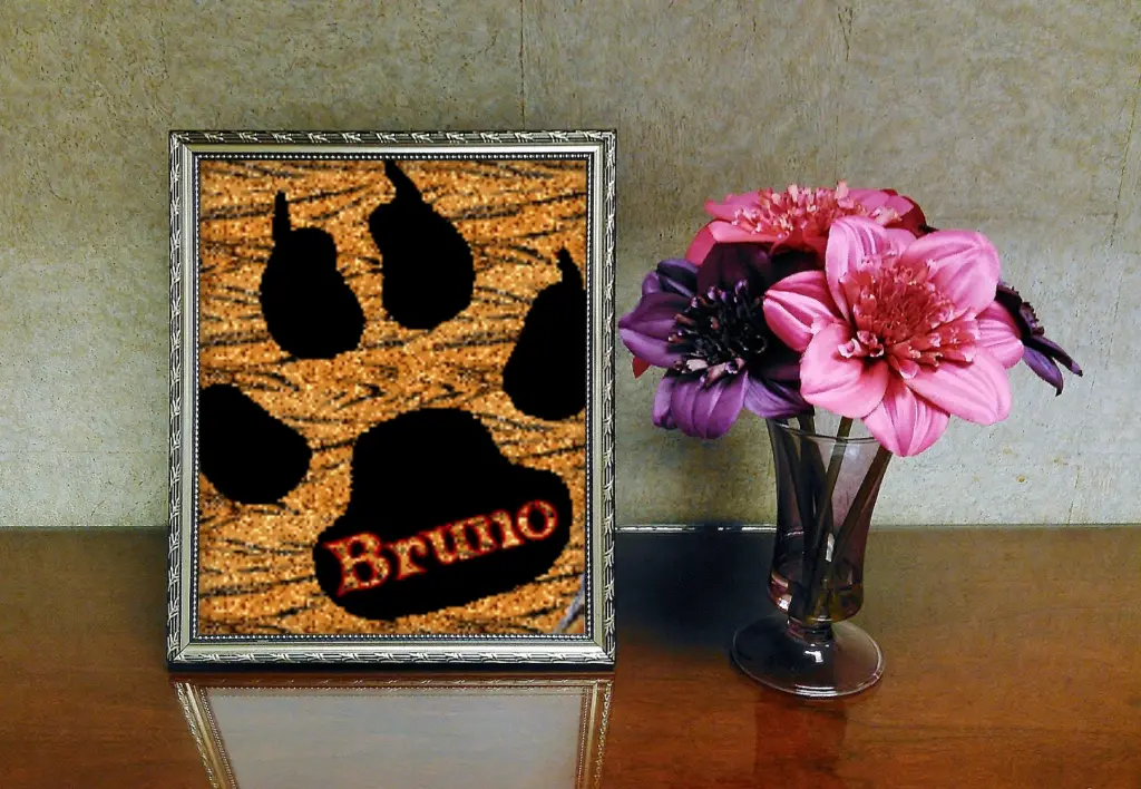 Condolence image of Fur Liebe Bruno❤