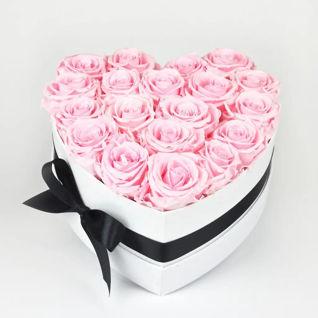 Condolence image of Nele❤Lara❤