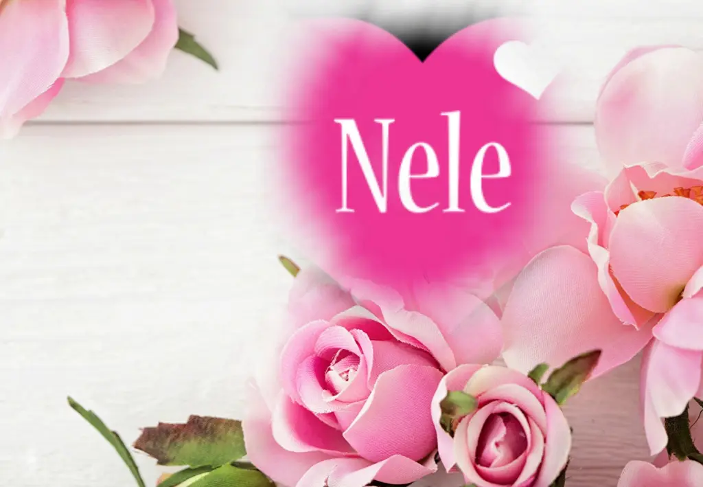 Condolence image of Fur Nele❤