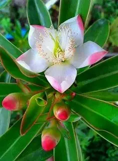 Condolence image of Fur Liebe Nele❤und Liebe Lara❤