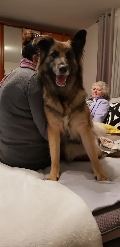 Condolence image of Klaudia mit Misiu❤❤❤Ganz Tief im Herzen❤