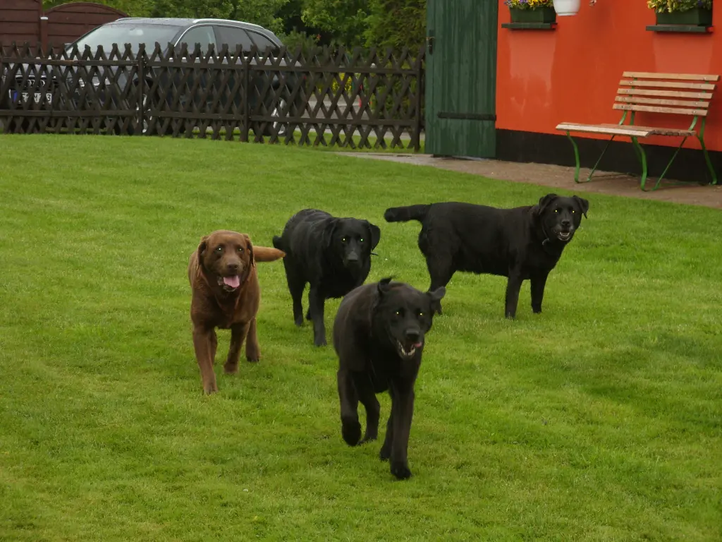 Condolence image of Evelyn mit Nele und Lara tief im Herzen
