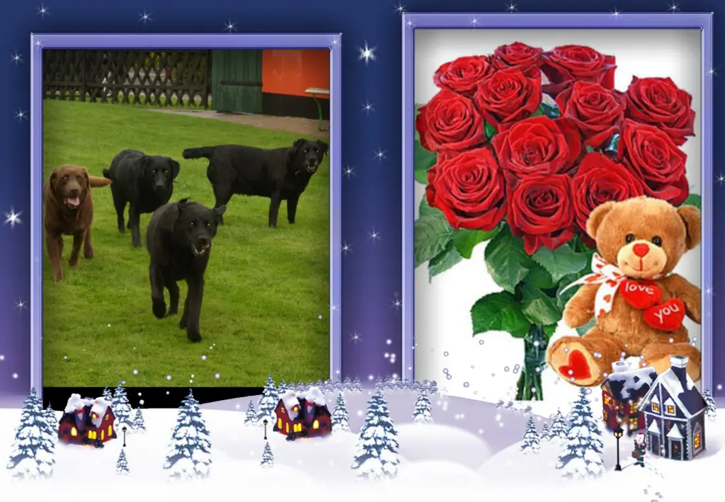 Condolence image of Klaudia mit Misiu❤❤❤Ganz Tief im Herzen❤