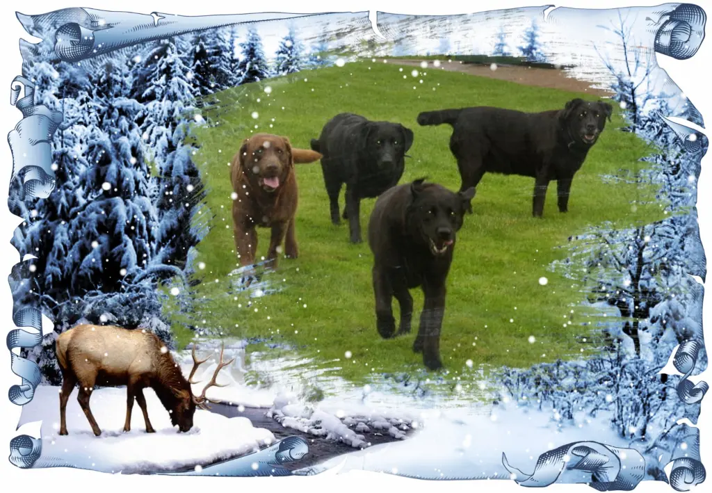 Condolence image of Fur Liebe Evelyn❤️und Gerald❤️