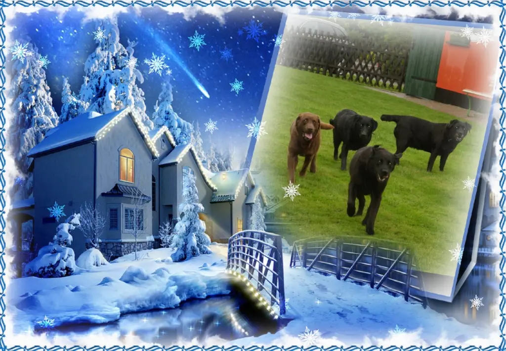 Condolence image of Klaudia mit Misiu❤❤❤Ganz Tief im Herzen❤