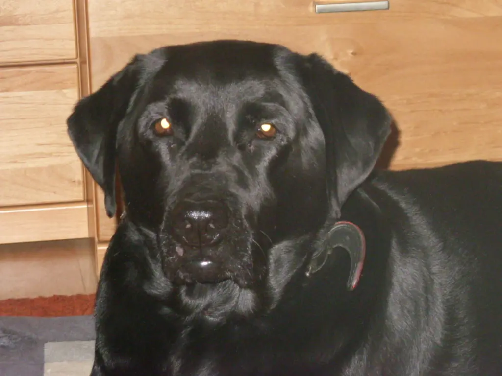 Condolence image of Unbekannt