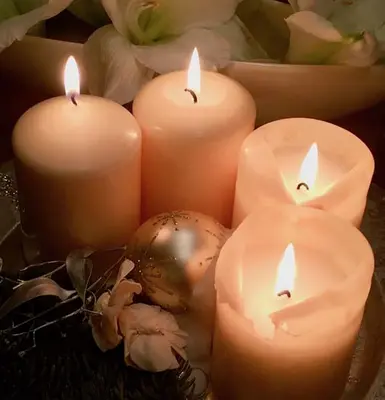 Condolence image of Gabriele mit Luna im Herzen