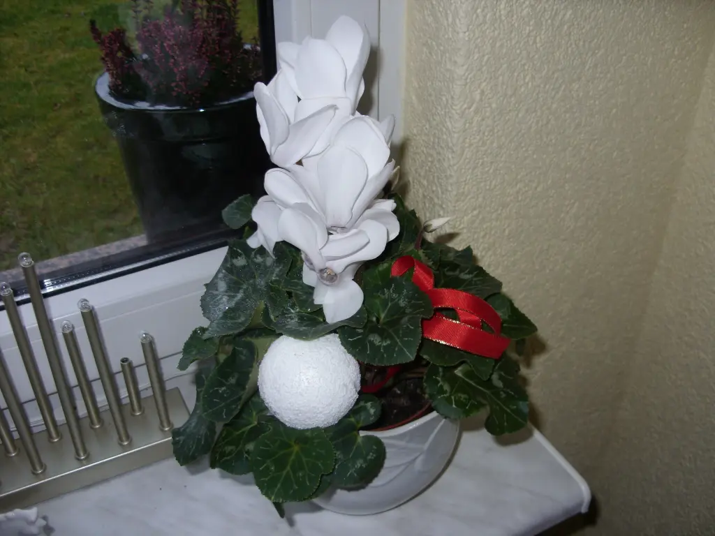 Condolence image of Unbekannt