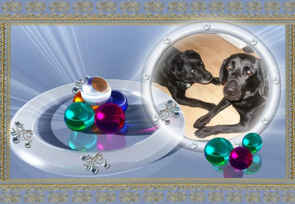 Condolence image of Klaudia mit Misiu❤❤❤Ganz Tief im Herzen❤