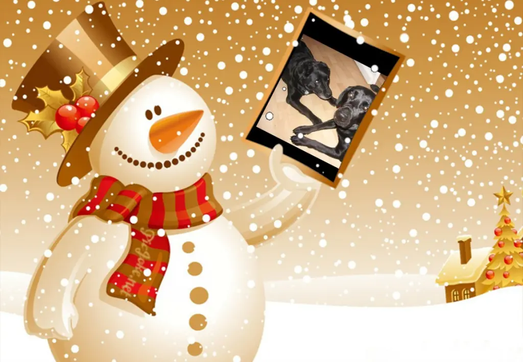 Condolence image of Klaudia mit Misiu❤❤❤Ganz Tief im Herzen❤