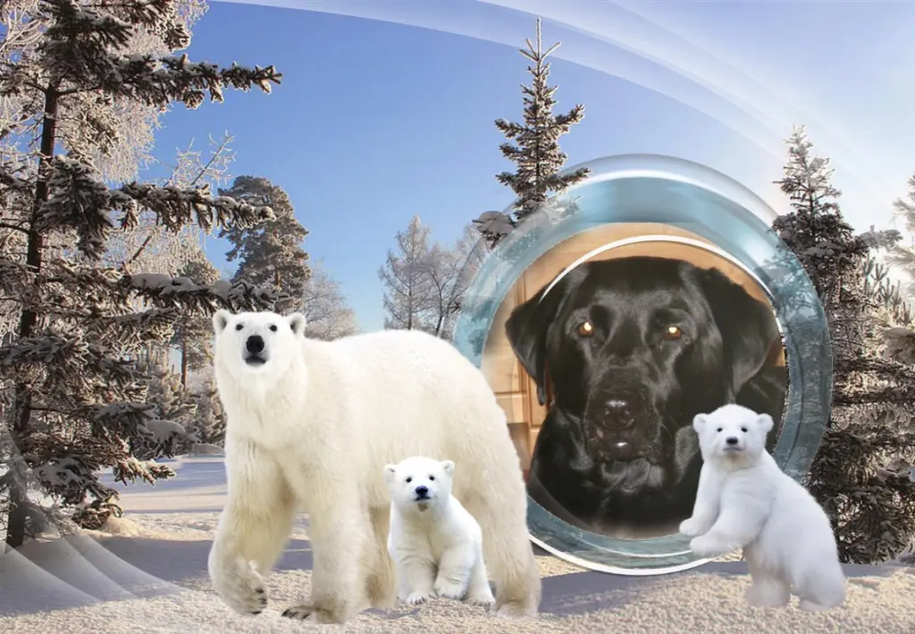 Condolence image of Gute Nacht❤️