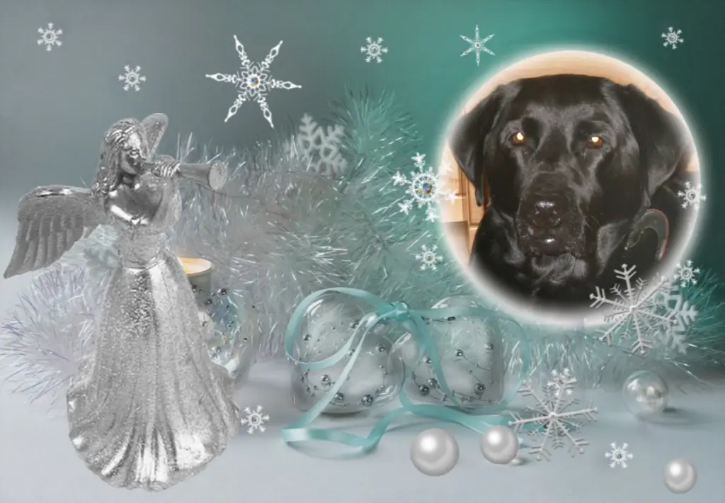 Condolence image of Klaudia mit Misiu❤❤❤Ganz Tief im Herzen❤