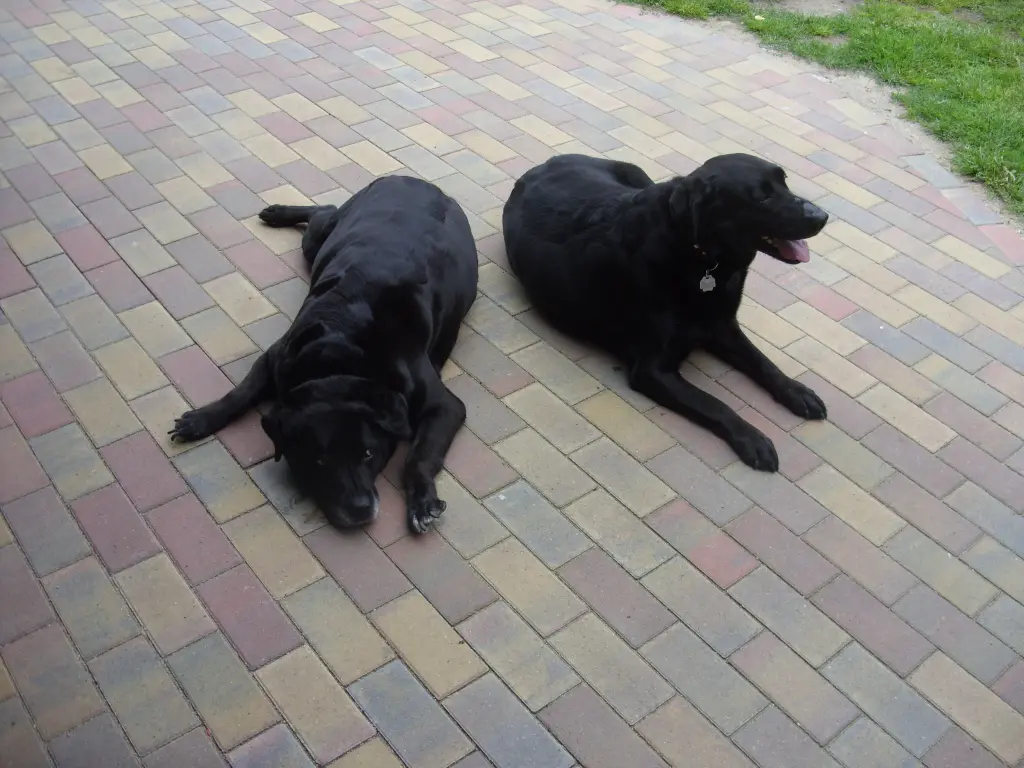 Condolence image of Unbekannt