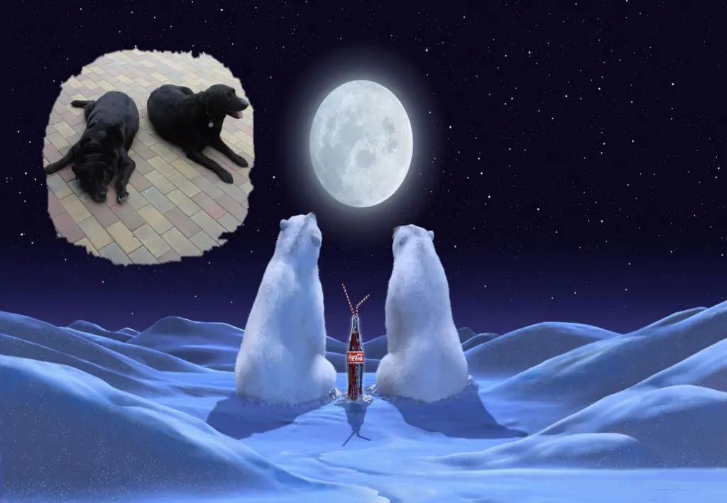 Condolence image of Klaudia mit Misiu❤❤❤Ganz Tief im Herzen❤