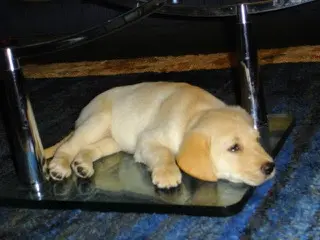 Condolence image of Brigitta