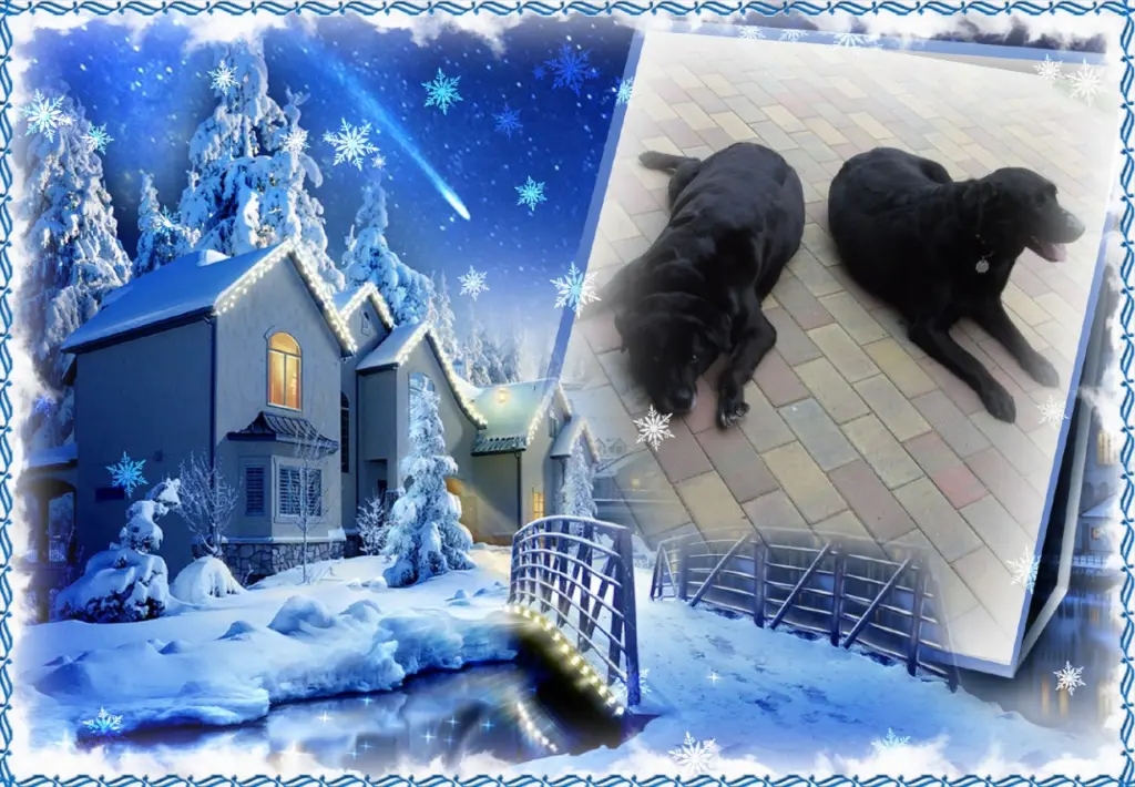 Condolence image of Klaudia mit Misiu❤❤❤Ganz Tief im Herzen❤