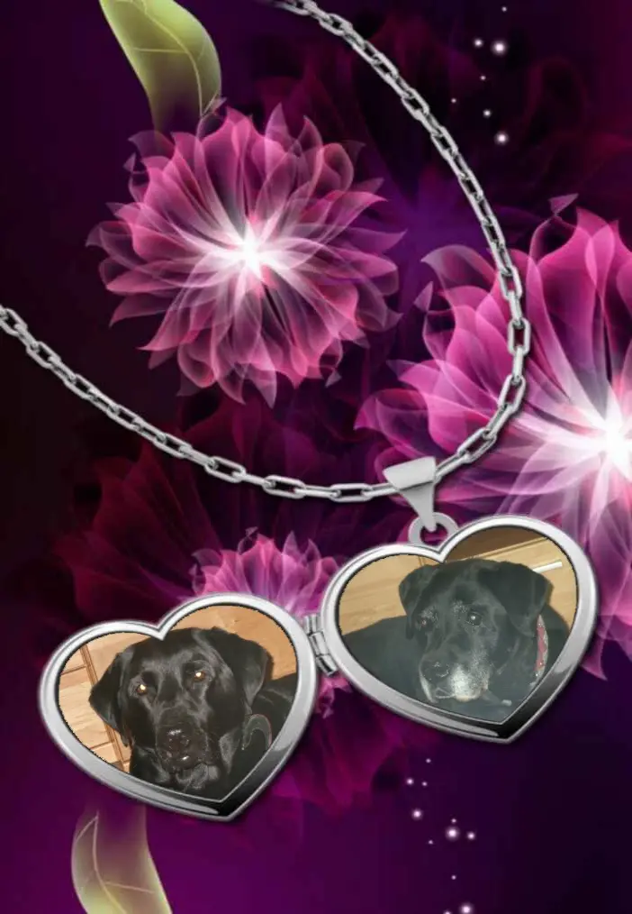 Condolence image of Klaudia mit Misiu❤❤❤Ganz Tief im Herzen❤