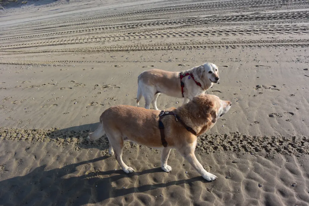 Condolence image of Brigitta