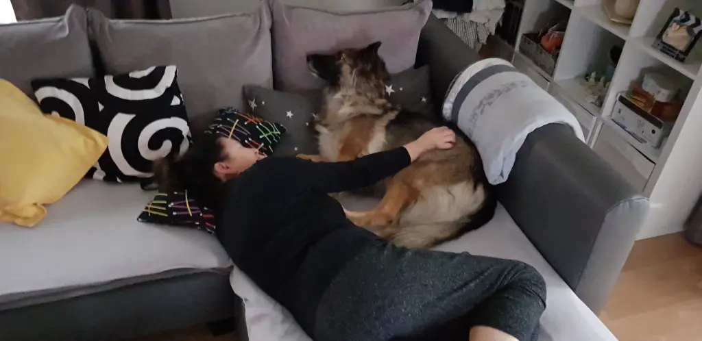 Condolence image of Misia❤️ fur Evelyn❤️