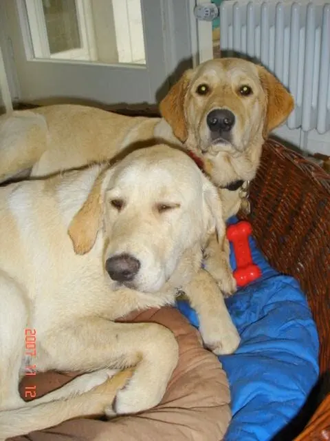 Condolence image of Brigitta