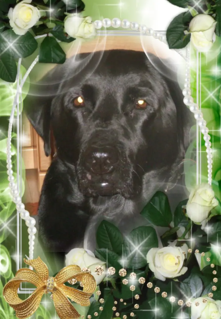 Condolence image of Liebe Larchen❤️