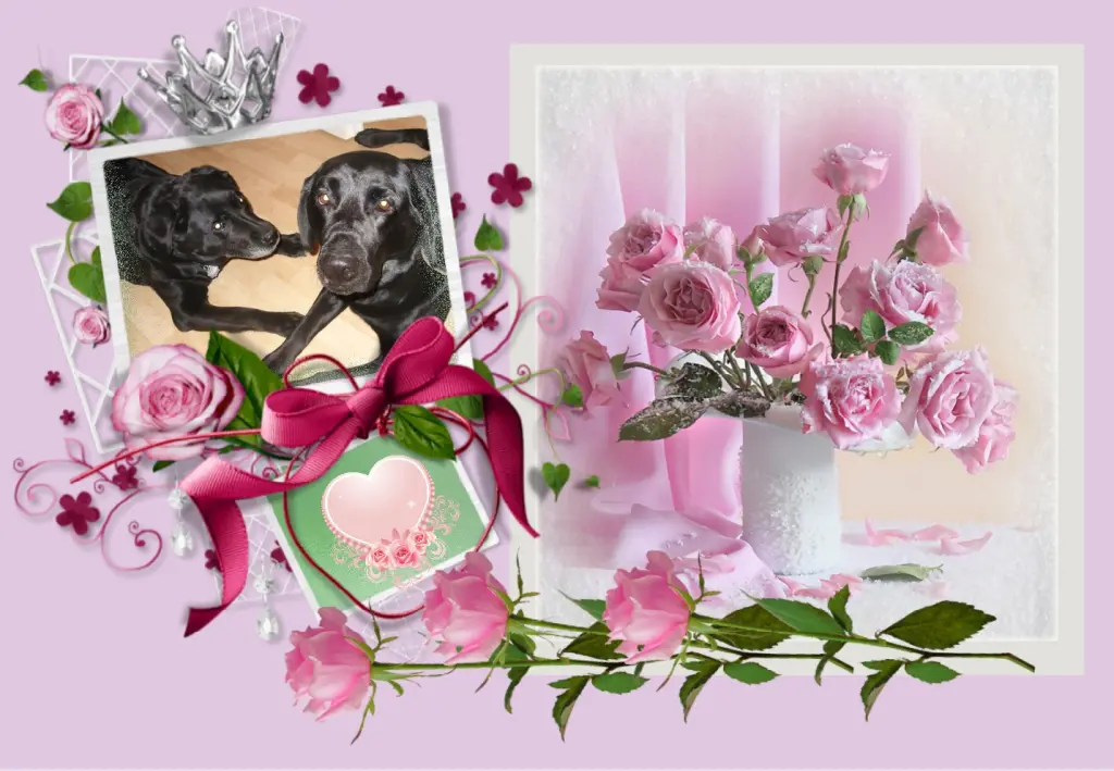 Condolence image of Gute Nacht❤️❤️