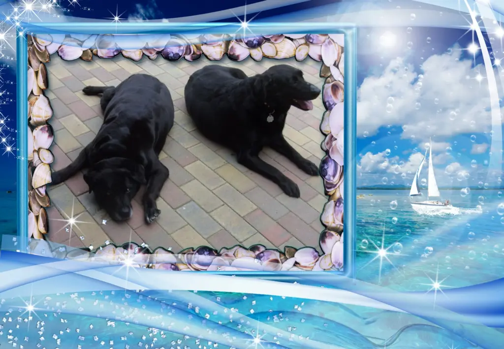 Condolence image of Guten Abend❤️❤️