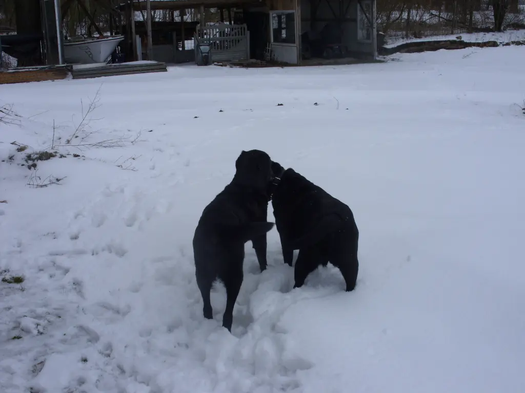 Condolence image of Unbekannt