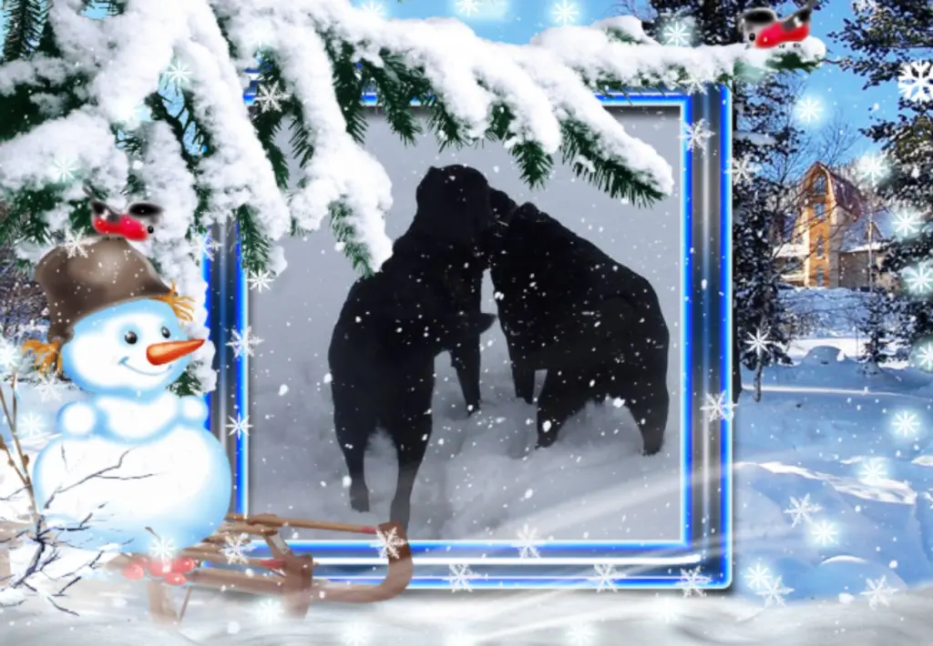 Condolence image of Guten Abend❤️❤️