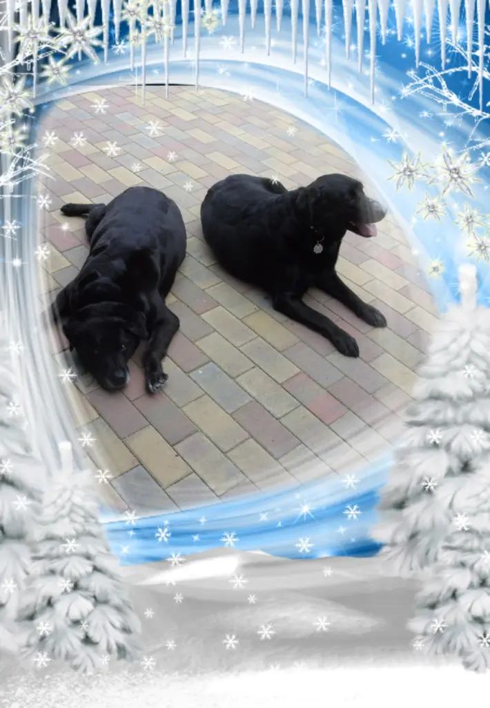 Condolence image of Gute Nacht❤️❤️