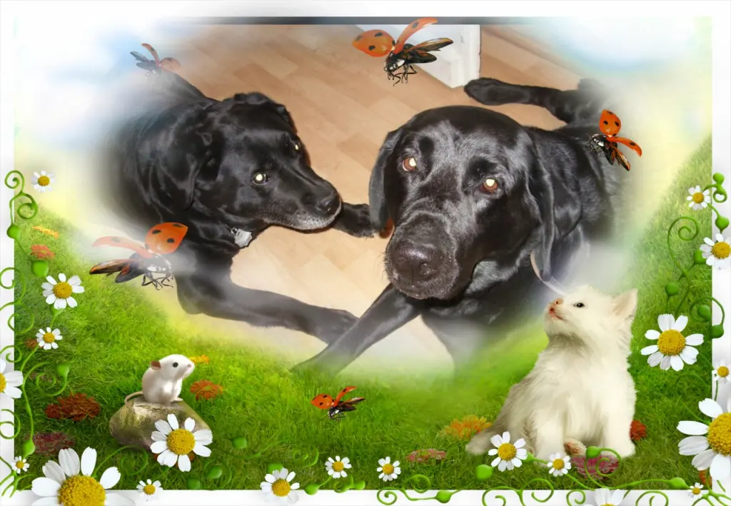 Condolence image of Liebe Nelchen❤️Liebe Larchen❤️