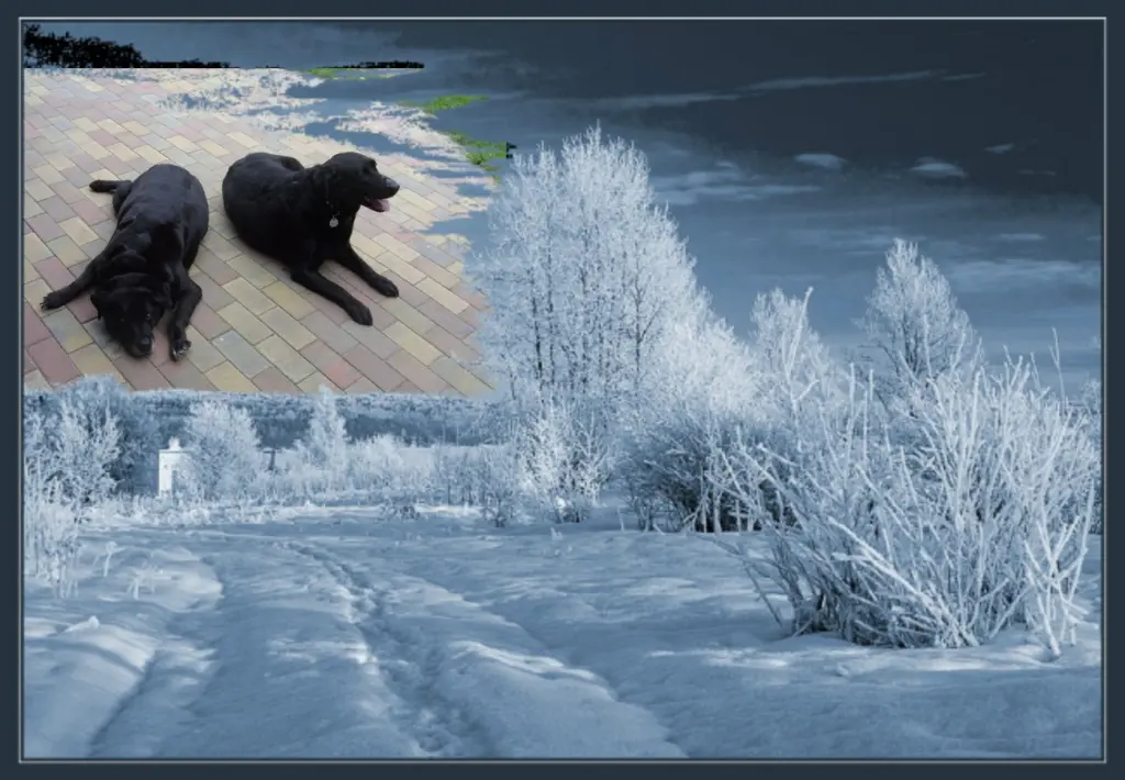 Condolence image of Guten Morgen❤️❤️