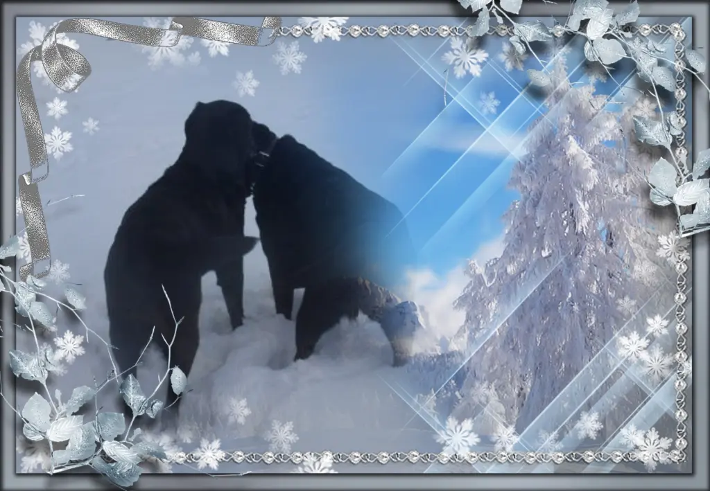 Condolence image of Guten Abend❤️❤️