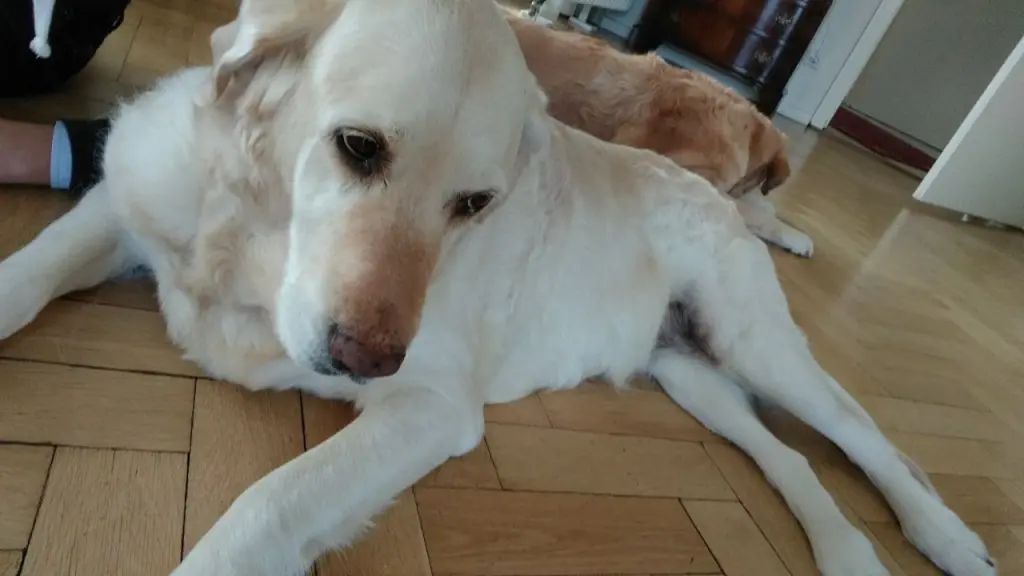 Condolence image of Brigitta