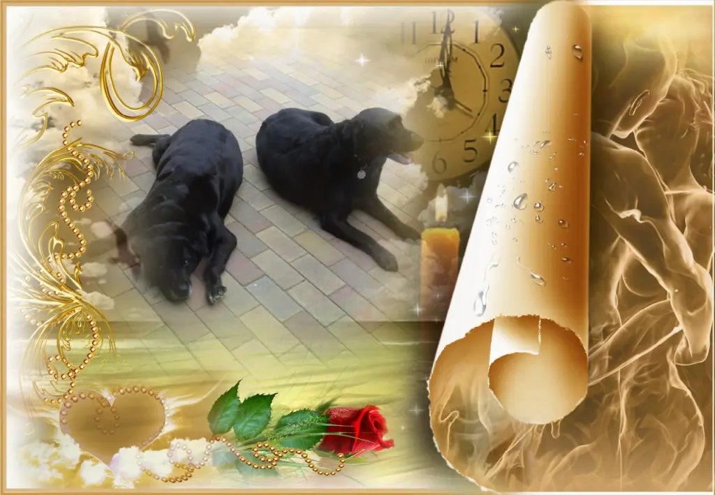 Condolence image of Guten Morgen❤️❤️