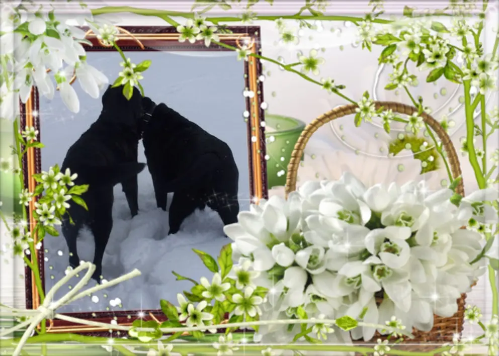 Condolence image of Guten Abend❤️❤️