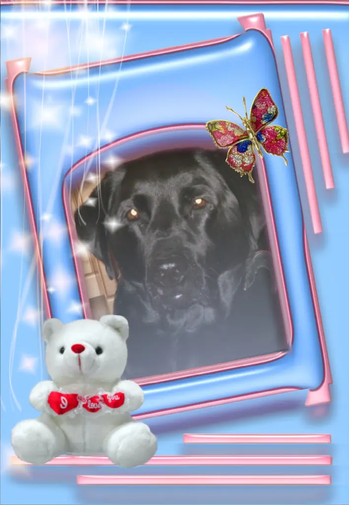 Condolence image of Liebe Lara❤️